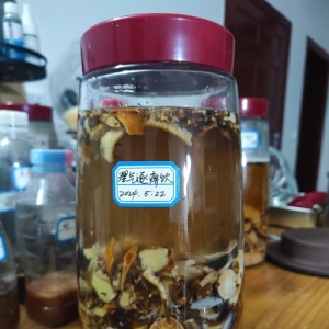 理气逐痹饮