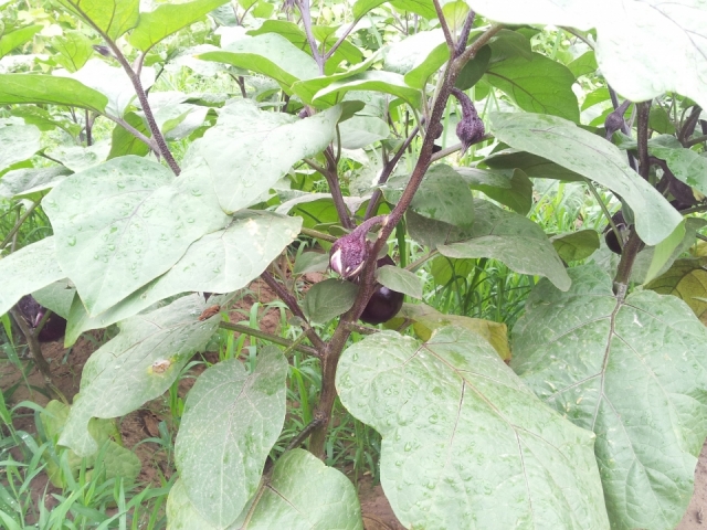 20120708_122859.jpg