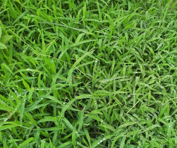 20120708_122905.jpg