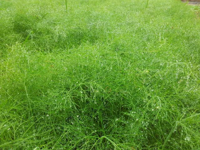 20120708_123016.jpg