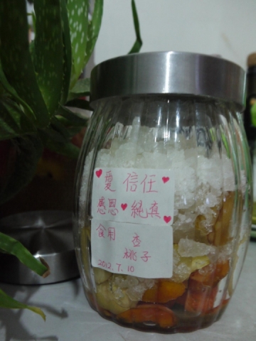 7-10-杏 桃.JPG