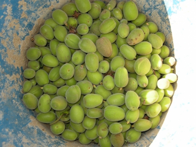20120517 076.jpg