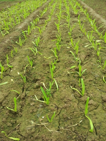 20120708_123423.jpg