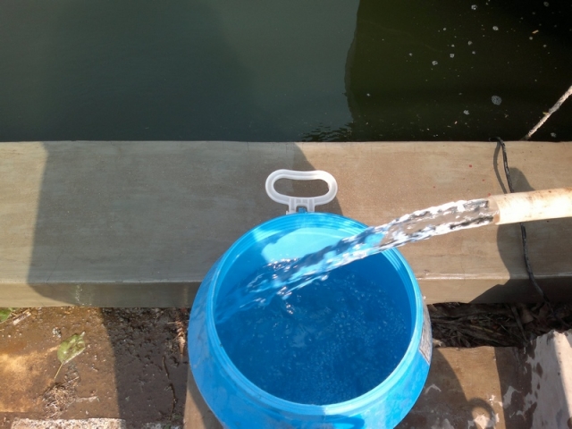 20120518573.jpg
