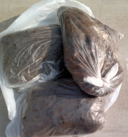 20120518583.jpg