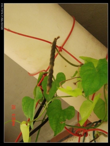 500DSC07407.jpg