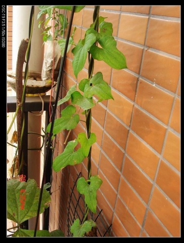 500DSC07408.jpg