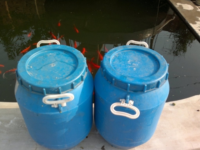 20120518588.jpg