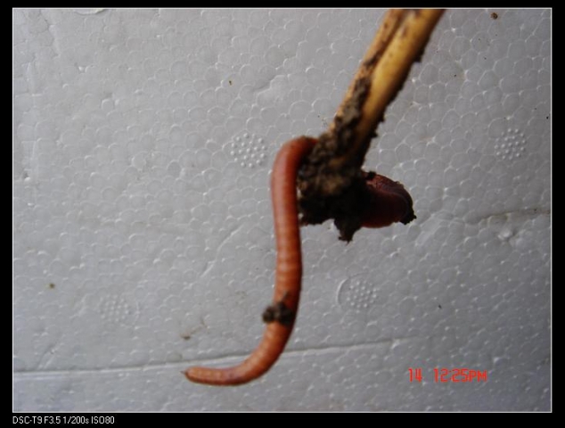 500DSC08834.jpg