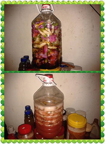 20120825_093506_副本.jpg