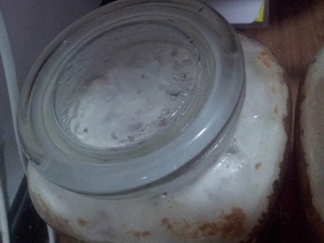 20120822_200542.jpg