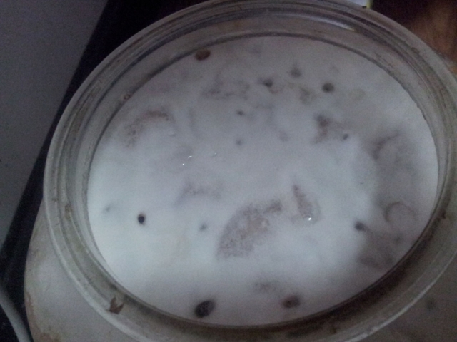 20120822_200625.jpg