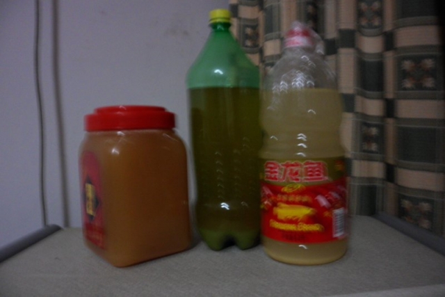 酵素集合-6_800_533.JPG