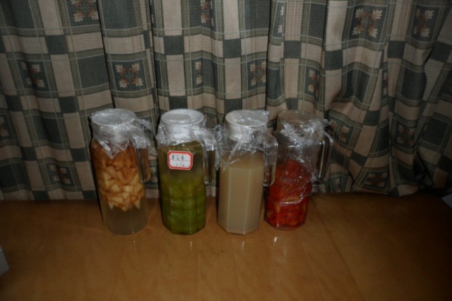 酵素聚合-2_800_533.JPG