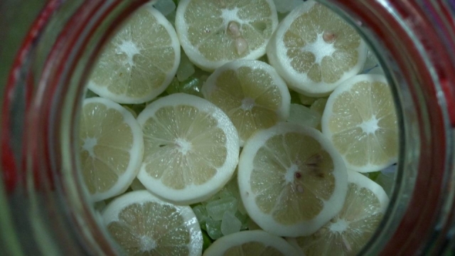 柠檬铺了3层