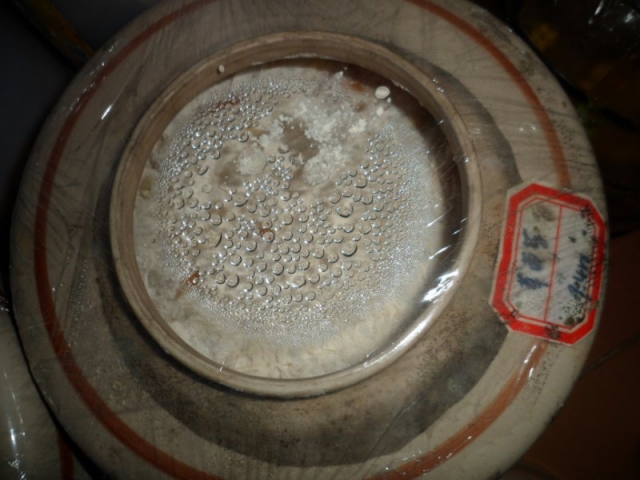 环保酵素秀-水蒸气_800_600.JPG