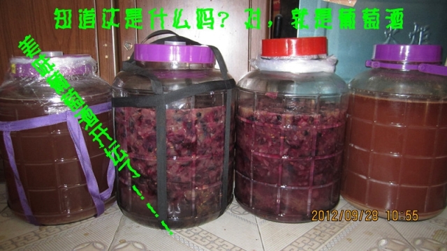 IMG_2660_副本.jpg