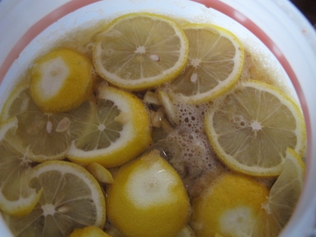 照片 454.jpg