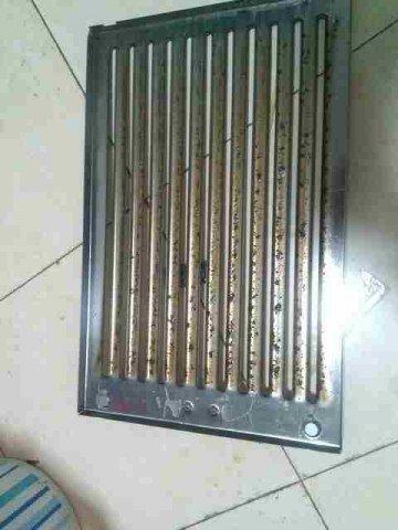 WP_000246.jpg
