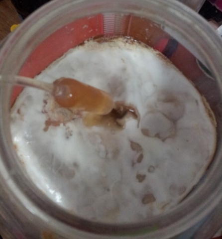 20121021_175654.jpg