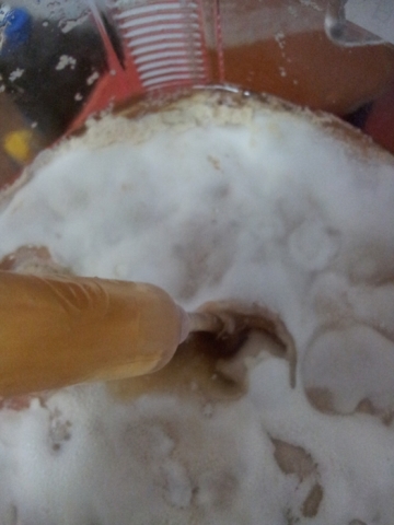 20121021_175704.jpg