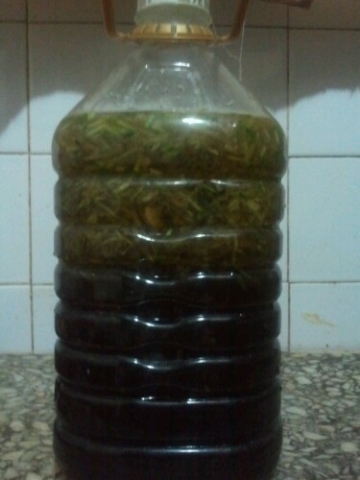 IMG20121025183612.jpg