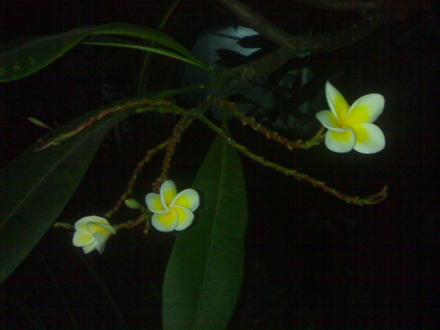 20121027113.jpg