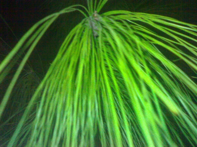 20121027105.jpg