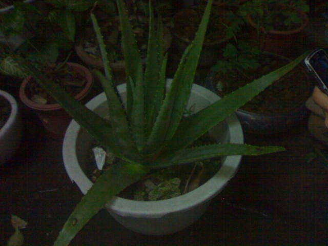 20121027090.jpg
