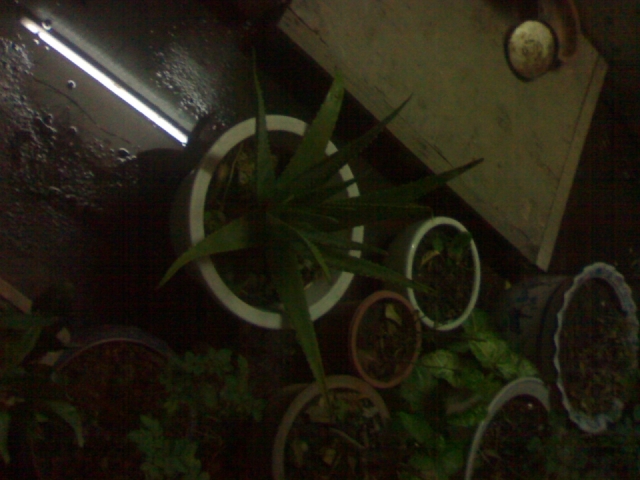 20121027092.jpg