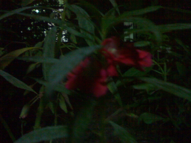20121027100.jpg
