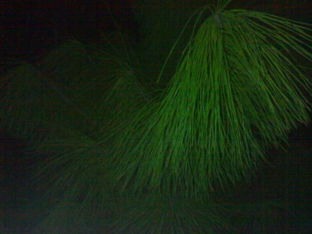 20121027106.jpg