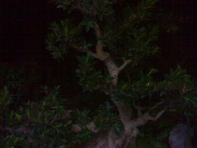 20121027108.jpg
