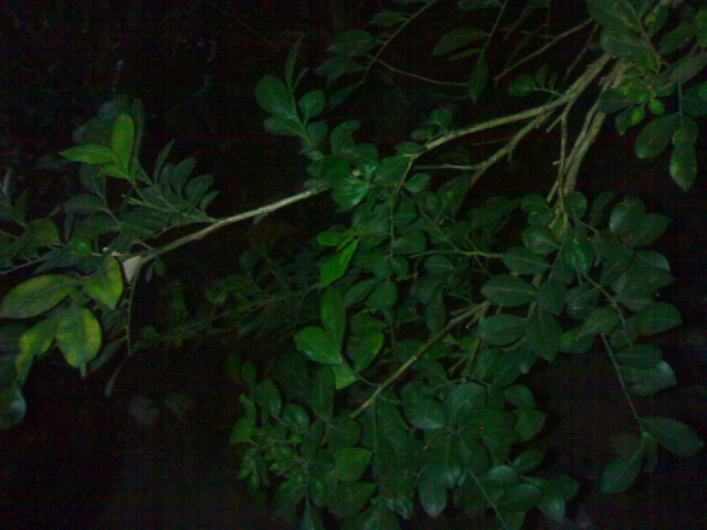 20121027111.jpg
