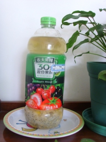 SSL24335.JPG