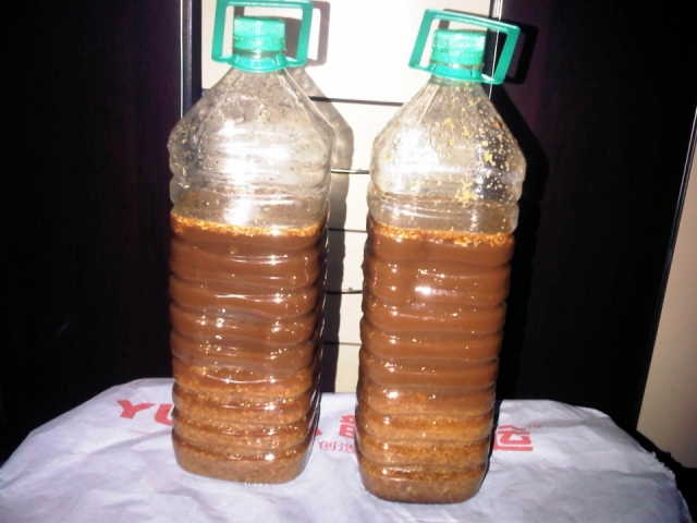 IMG-20121030-00191.jpg