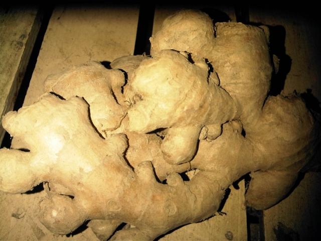 IMG-20121030-00194.jpg