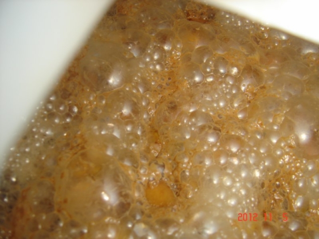 DSC07375_800_600.JPG