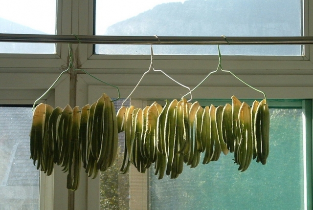 1-晾晒_缩小大小.JPG