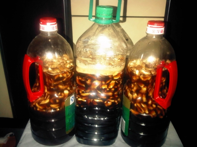 IMG-20121108-00213.jpg