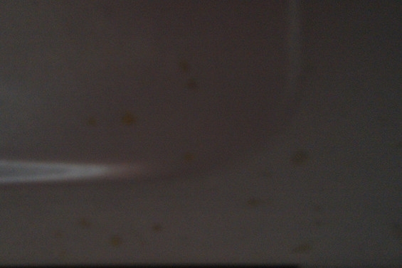 这个被我漏掉的小角落里上面全是厚油点，清洗前抽油烟机上全是这东东