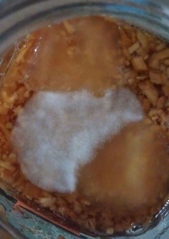 长白毛了1