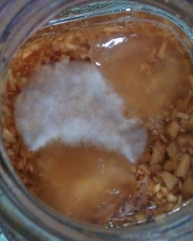 长白毛了2