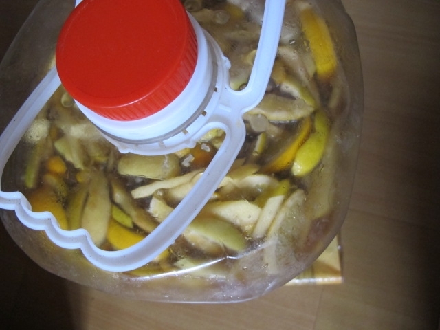 照片 447.jpg