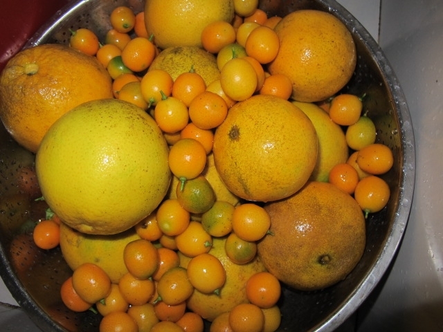 照片 439.jpg