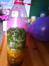 3天的金桔马蹄莲酵素