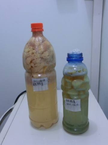 香蕉和苹果酵素爆发了