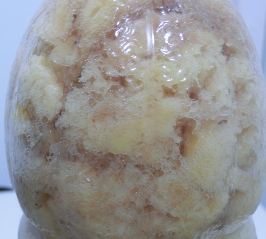 CIMG2455_副本.jpg