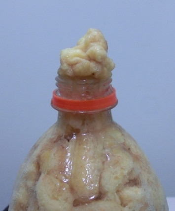 CIMG2459_副本.jpg