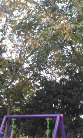 IMAG0273.jpg